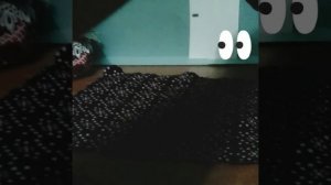 "Любовь не понимает слов" 1 сезон 1 серия :-)