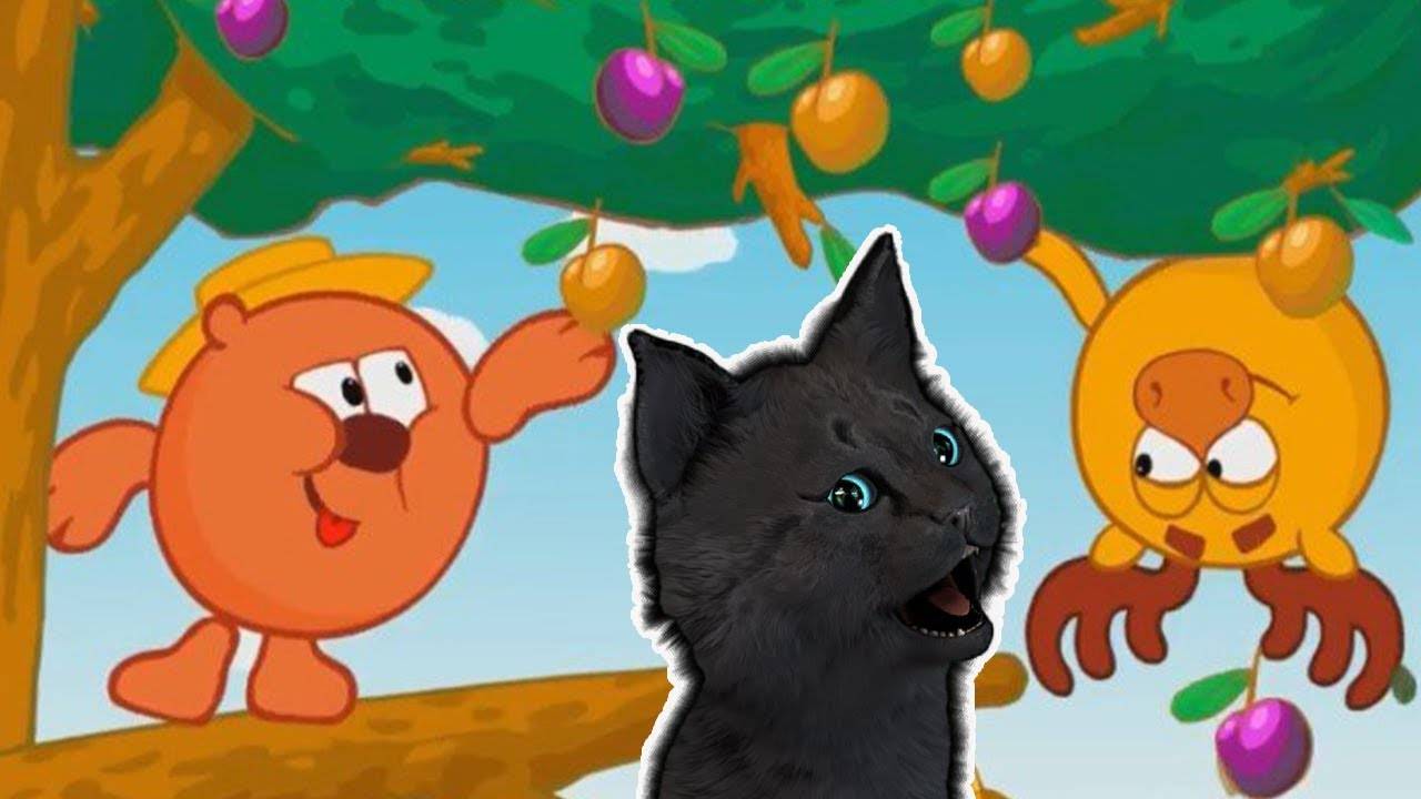 СМЕШАРИКИ КУЛИНАРИЯ С ГОВОРЯЩИМ СУПЕР КОТОМ ( ИГРА для ДЕТЕЙ ) Андроид #99 смотреть онлайн