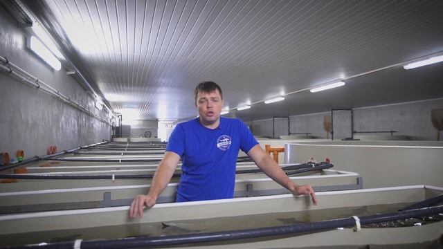 Экскурсии к нам смотреть онлайн