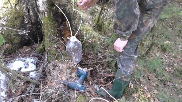 Простой способ сбора берёзового сока смотреть онлайн