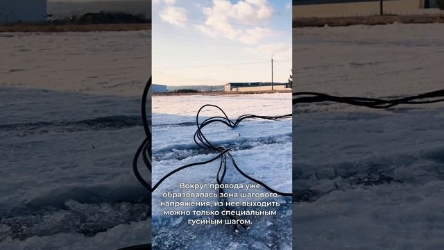 Вблизи оборванного провода: главные правила безопасности ✔️ смотреть онлайн