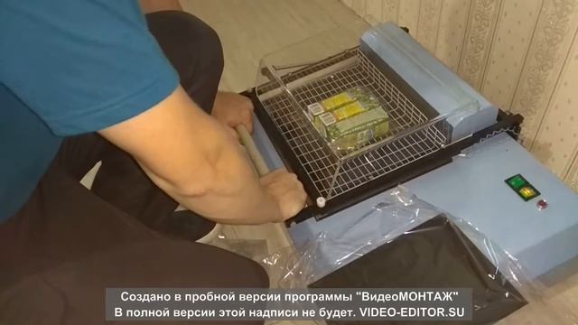 ТПЦ 200м, PACMAN 250 смотреть онлайн