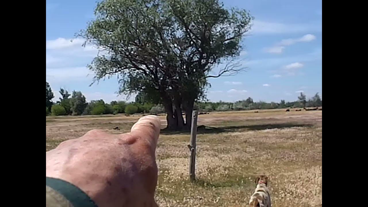 13.05.2024 ЧТО ДЕЛАТЬ? : ЛПХ В ОПАСНОСТИ смотреть онлайн