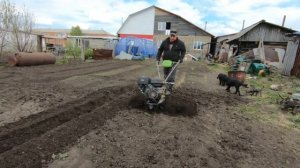 что выбрать фрезы или гусиные лапки для мотоблок сравнение
