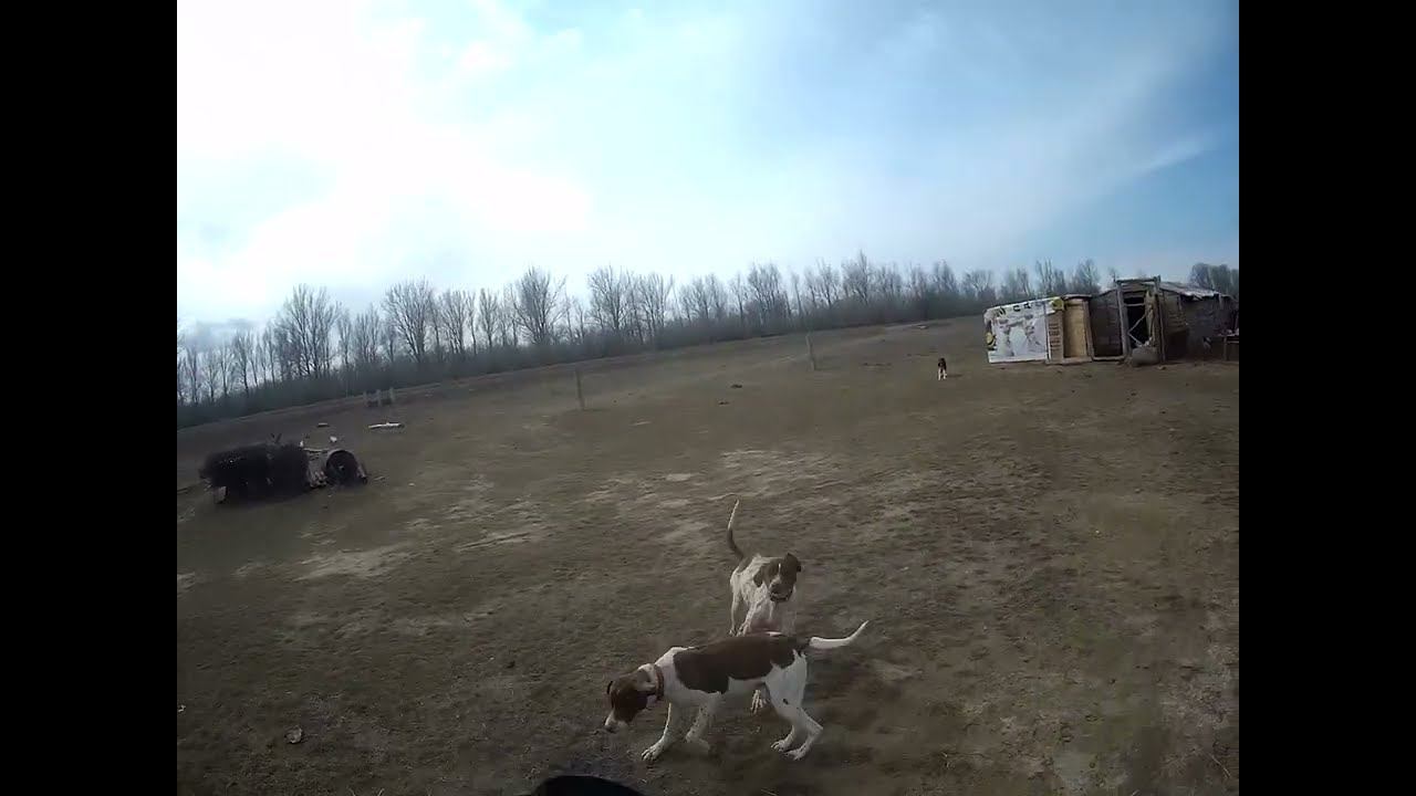 11.03.2024 ЧТО ДЕЛАТЬ? : ЛПХ В ОПАСНОСТИ смотреть онлайн