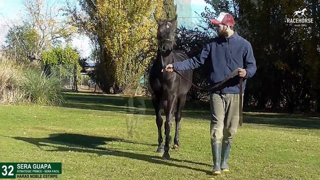 32. SERA GUAPA смотреть онлайн