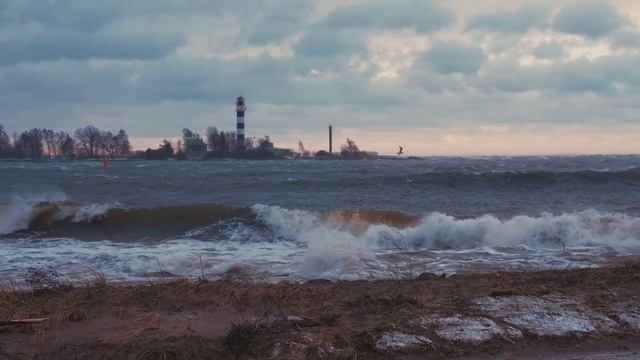Epic Thrills: The Top 5 Must-Try Experiences In Latvia смотреть онлайн