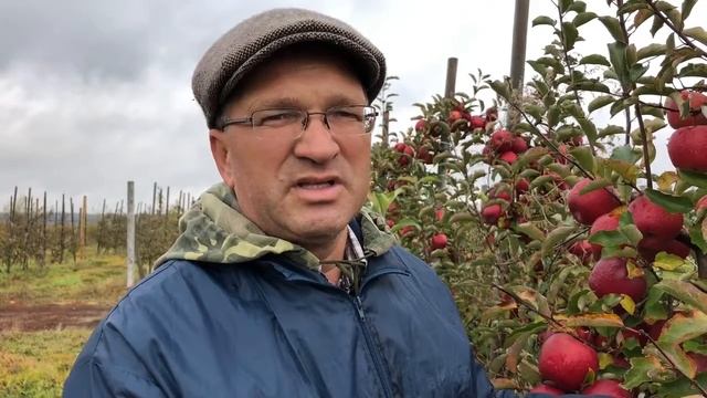 Удосталь збожжа і хлеба, гародніны і садавіны, мяса і малака – «Свая зямля» смотреть онлайн