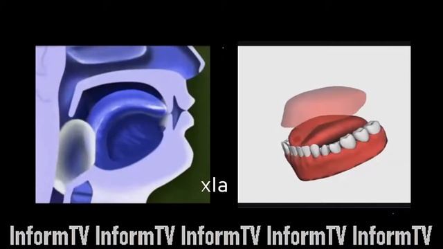 Арабский язык Фонемы хьа " ح " и хIa " ها " смотреть онлайн