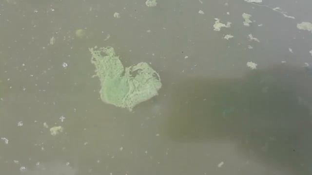 Перекись для бассейна часть 2 смотреть онлайн