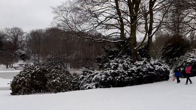 Горки усыпаны детьми и родителями смотреть онлайн