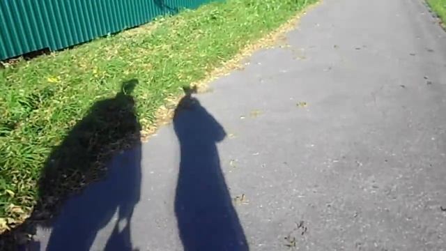 Немного осени + OOTD смотреть онлайн