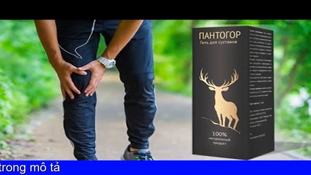Thuốc Khớp Pantogor Giá Bao Nhiêu смотреть онлайн