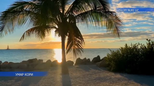 КУЧЛИ РУКИЯ СЕХРГА КАРШИ УМАР КОРИ | KUCHLI RUQIYA SEHRGA QARSHI