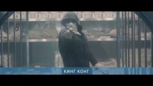 Реклама и анонсы (TV 1000 Action, 29.08.2021)