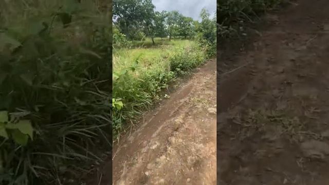 1,2 ha đất đỏ giá 800 tr mặt tiền 200 đường đất 0395586668 смотреть онлайн