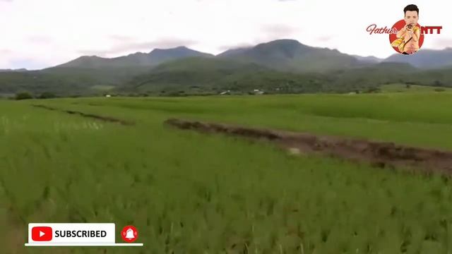 Viral....|| 7 WISATA NTT TERINDAH DIMATA DUNIA INTERNASIONAL смотреть онлайн