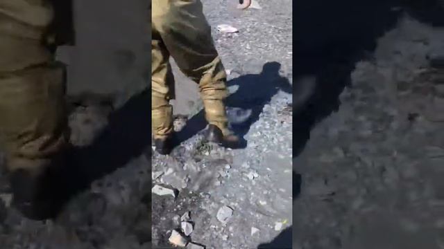 Snagging King Salmon смотреть онлайн