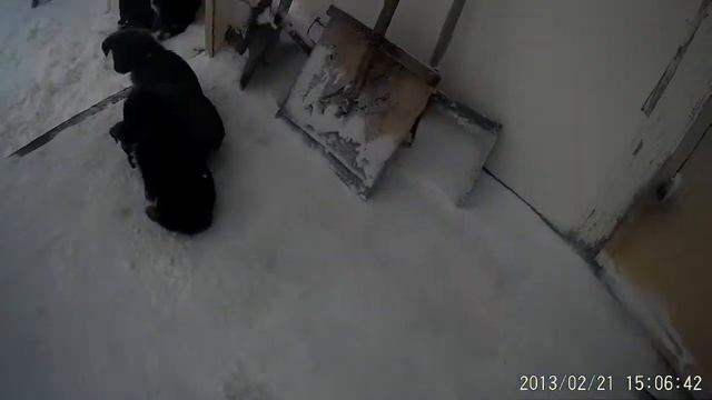 Зима 2013 смотреть онлайн