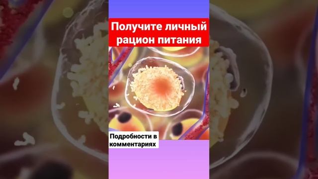 Диета для похудения живота и боков #диета #shorts #short смотреть онлайн