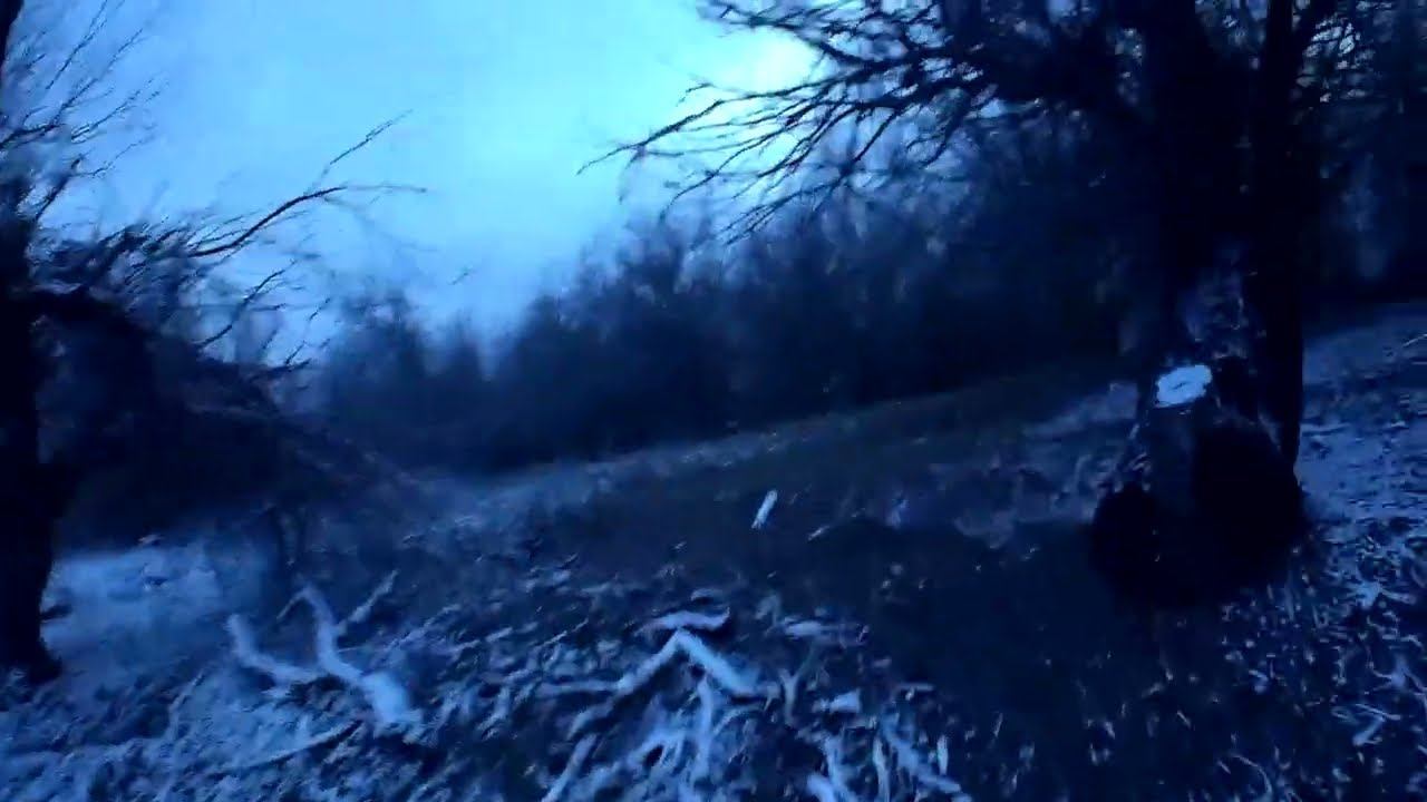 22.11.2023 ЧТО ДЕЛАТЬ? : ЛПХ В ОПАСНОСТИ смотреть онлайн