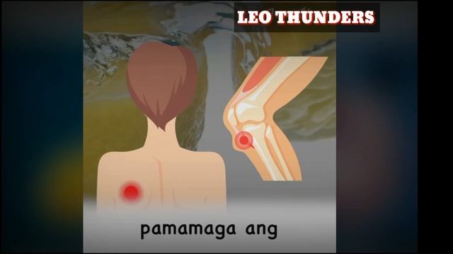 BENEFITS OF LEMON WATER // HEALTHY TIPS // @LEO THUNDERS