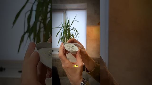 Как починить светодиодную лампочку #электрика #дизайнинтерьера смотреть онлайн