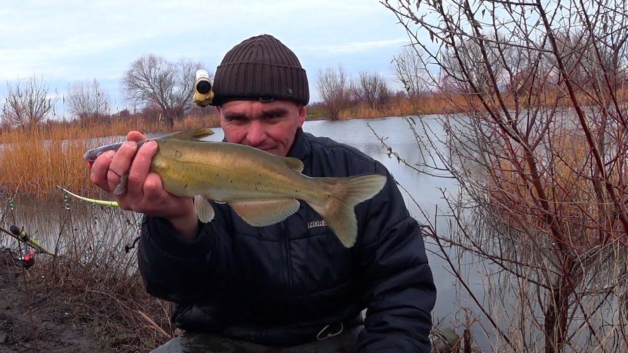 РЫБА СБИЛАСЬ В ЯМУ !!! смотреть онлайн