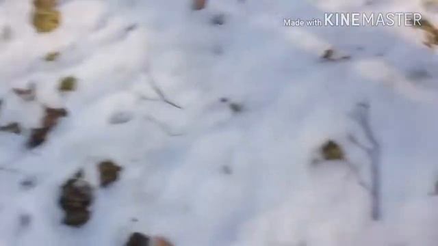 Слендер мен смотреть онлайн