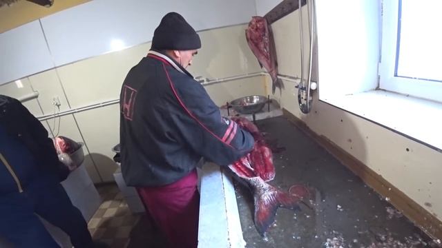 Cutting large fish. Разделка большой рыбы смотреть онлайн
