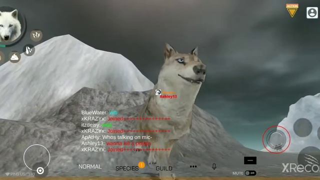 Wolf Online 2 • Being Dumb In Polar Bear & ??? смотреть онлайн