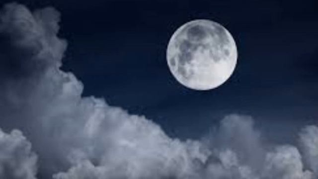 SER-J & CRIME - NELLA MORSA смотреть онлайн