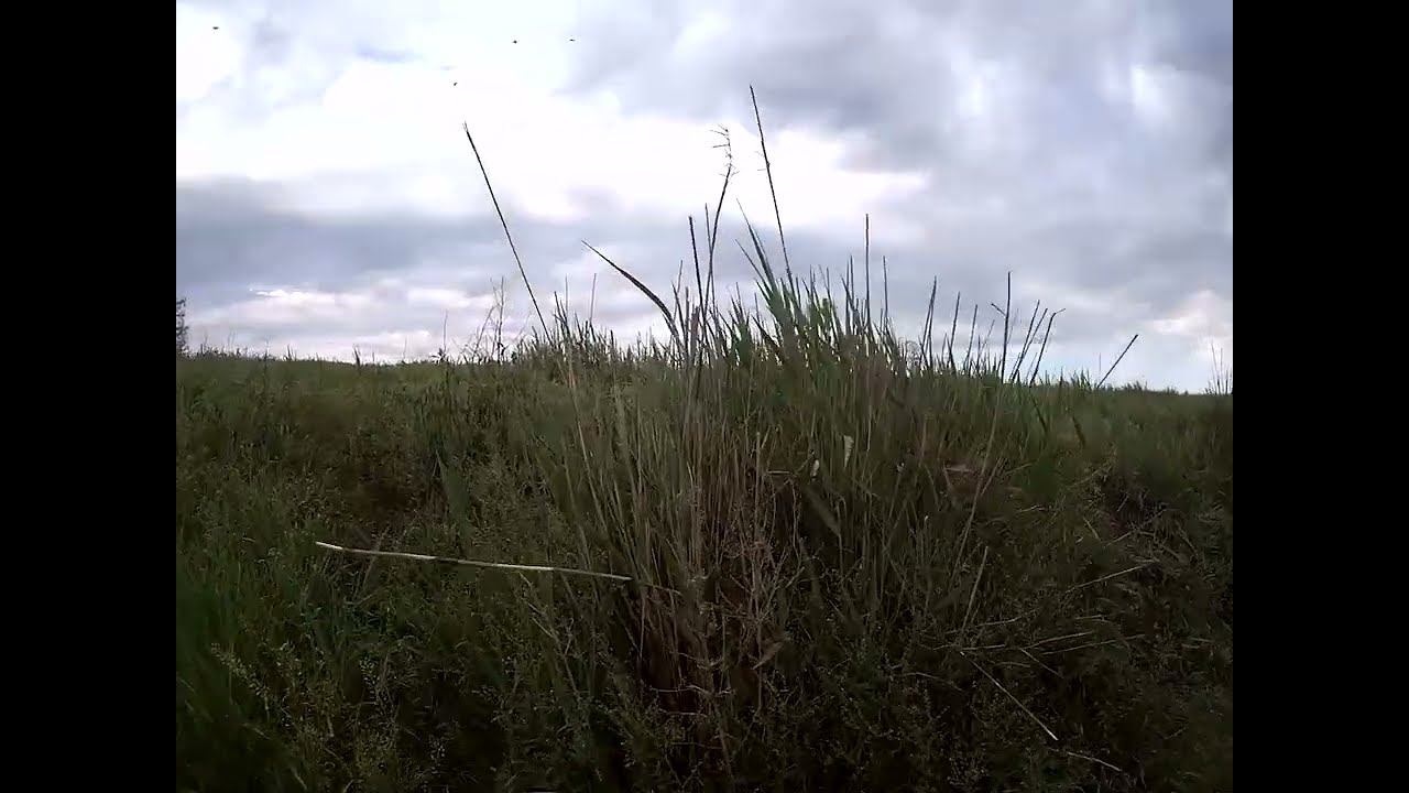 04.05.2024 ЧТО ДЕЛАТЬ? : ЛПХ В ОПАСНОСТИ смотреть онлайн