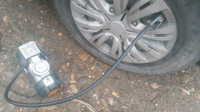 VID_20250119_113910.mp4