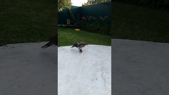 21 августа 2021 г. смотреть онлайн