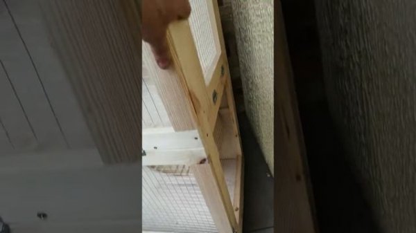 Бюджетная клетка для алтайской белки. Минск https://sites.google.com/view/give-me-a-paw-friend?pli=