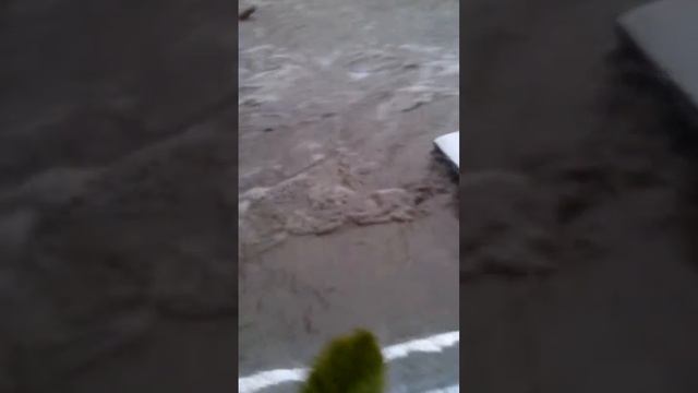 Потоп в Геленджике смотреть онлайн