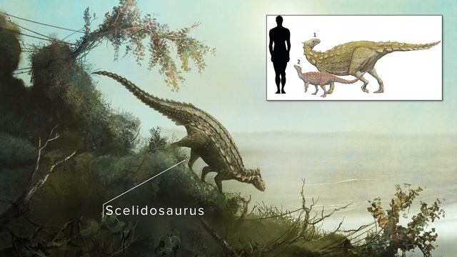 Jurassic - Part 1: Foundations (Lunch & Learn Stream Recording) смотреть онлайн