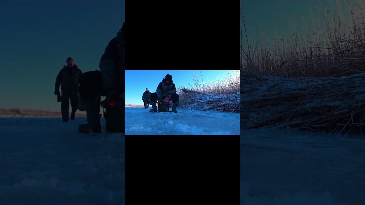 ОТОРВАЛСЯ ПО ОКУНЮ !!! #shorts смотреть онлайн