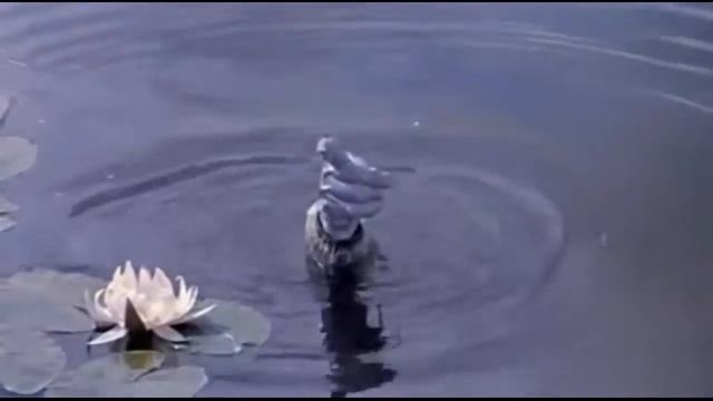 Черная метка смотреть онлайн