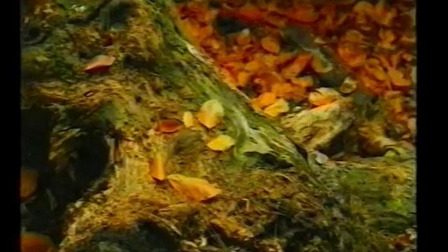 К Азбуке Морзе 4 смотреть онлайн