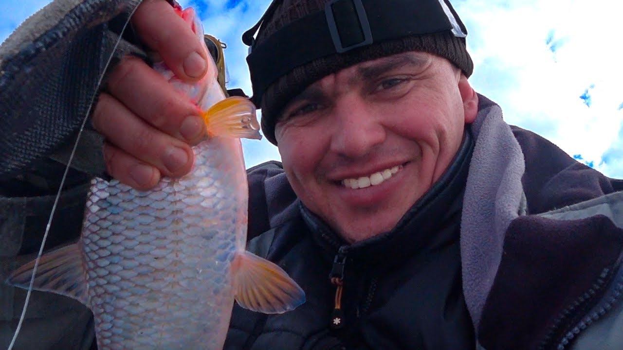 РАЗДАЧА ПО ЛЕЩУ И ТАРАНИ !!! НА ВВ !!!!! смотреть онлайн