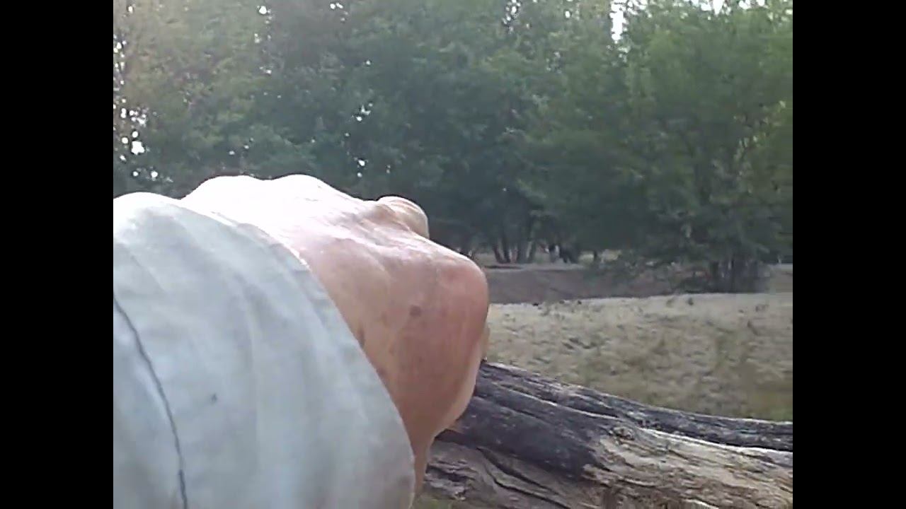 31.08.2024 ЧТО ДЕЛАТЬ? : ЛПХ В ОПАСНОСТИ смотреть онлайн