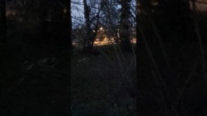 ГЛАЗАСТАЯ СТАРУШКА И К°  для тех кто смотрит  в прямом эфире!