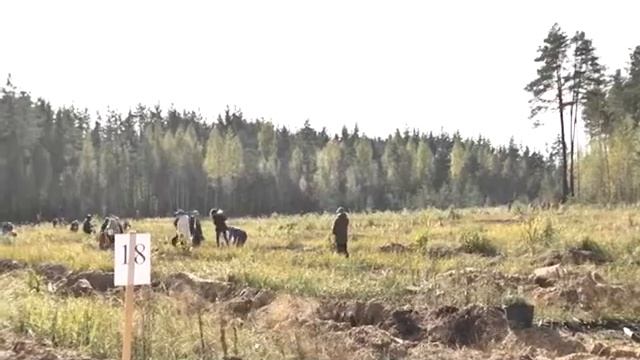 Подведение итогов года экологии смотреть онлайн