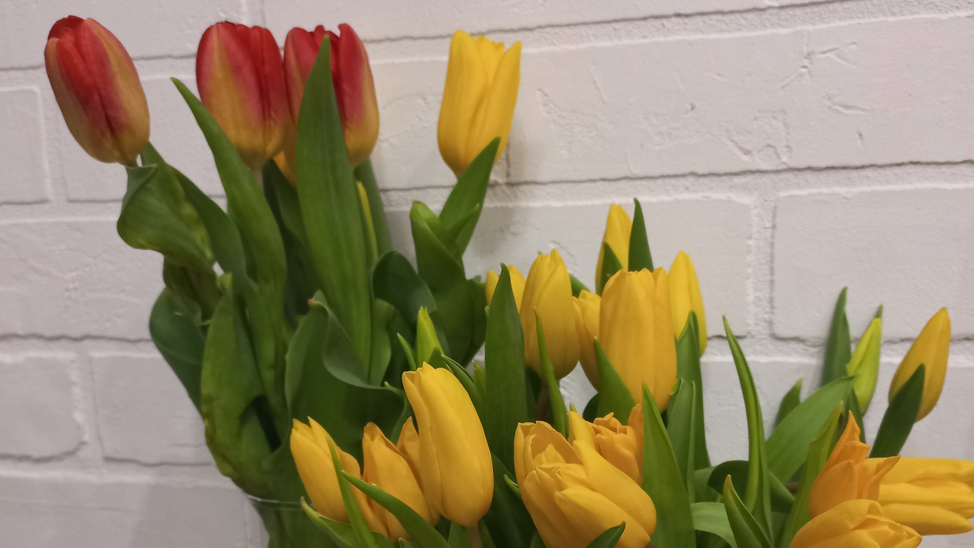 8 мата лучший подарок Рисуем картину на холсте Топ 10 подарков на 8 Марта смотреть онлайн