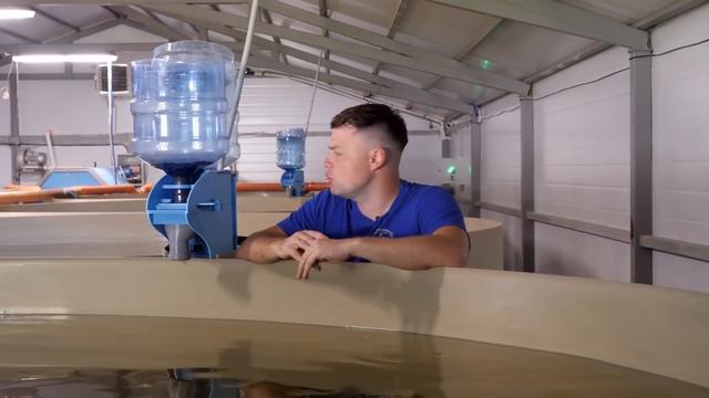 Автокормушки на Акваферме смотреть онлайн