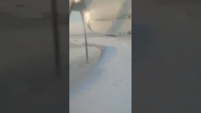 летим на северный полюс смотреть онлайн