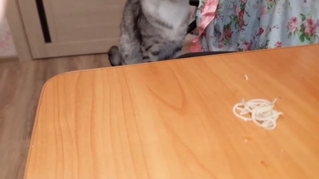 Спагетти спагетти ООО спагетти! Pasta Pasta OOO Pasta! смотреть онлайн