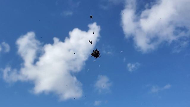 Should I TOUCH This Spider? Spinyback Orbweaver Spotted In Florida смотреть онлайн
